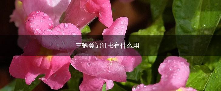 车辆登记证书有什么用,第1张