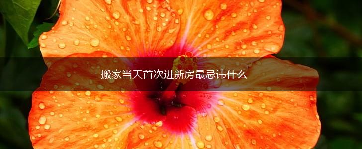 搬家当天首次进新房最忌讳什么,第1张