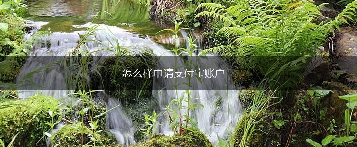 怎么样申请支付宝账户,第1张