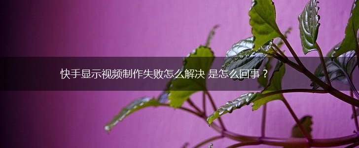 快手显示视频制作失败怎么解决 是怎么回事？,第1张