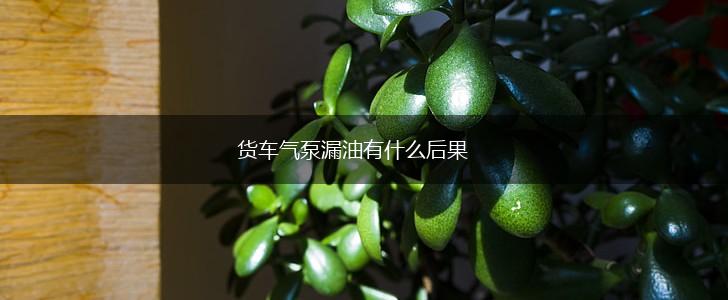 货车气泵漏油有什么后果,第1张