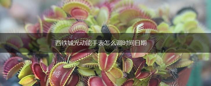 西铁城光动能手表怎么调时间日期,第1张