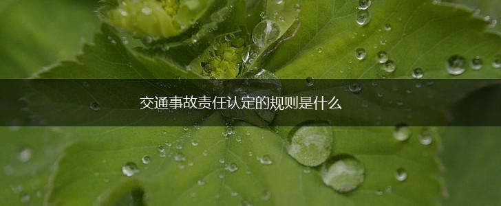 交通事故责任认定的规则是什么,第1张