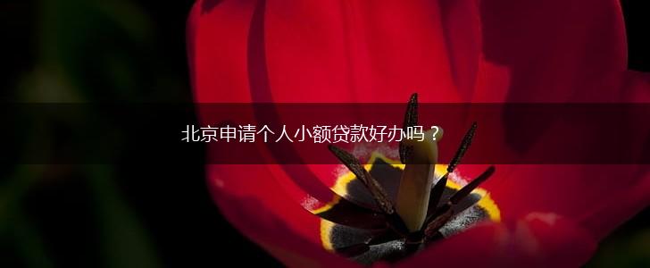 北京申请个人小额贷款好办吗？,第1张