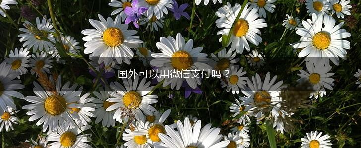 国外可以用微信支付吗？,第1张