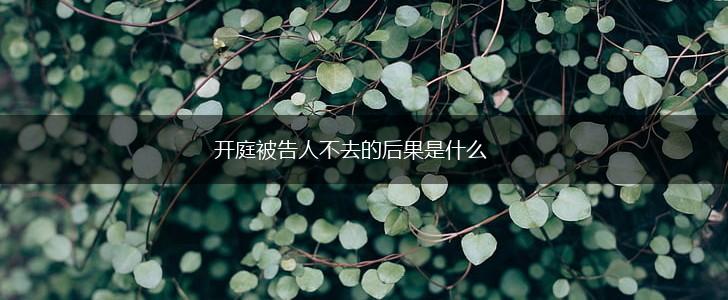 开庭被告人不去的后果是什么,第1张