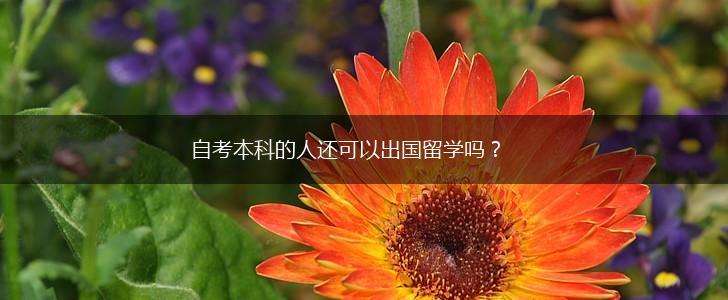 自考本科的人还可以出国留学吗？,第1张
