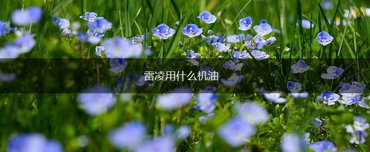雷凌用什么机油,第1张