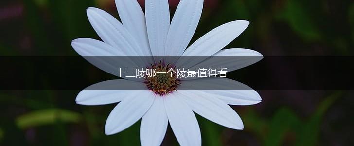 十三陵哪一个陵最值得看,第1张