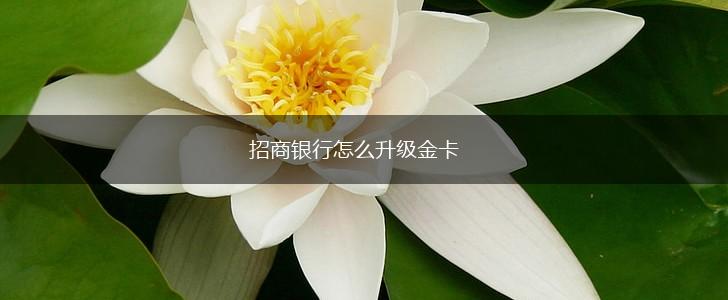 招商银行怎么升级金卡,第1张