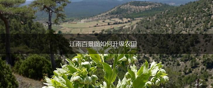 江南百景图如何升级农田,第1张