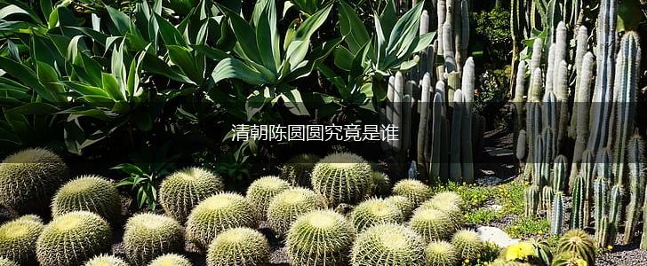 清朝陈圆圆究竟是谁,第1张