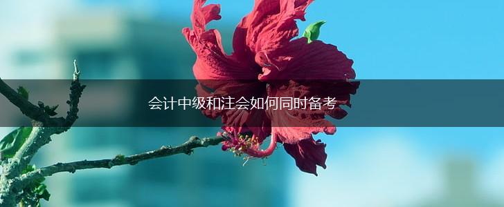 会计中级和注会如何同时备考,第1张
