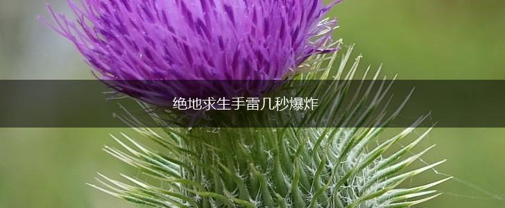 绝地求生手雷几秒爆炸,第1张