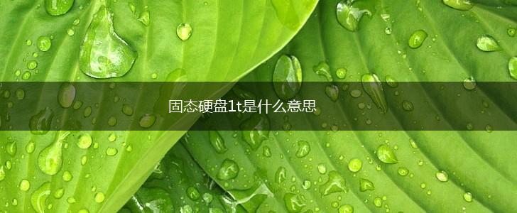 固态硬盘1t是什么意思,第1张