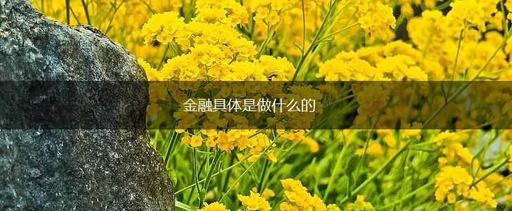 金融具体是做什么的,第1张
