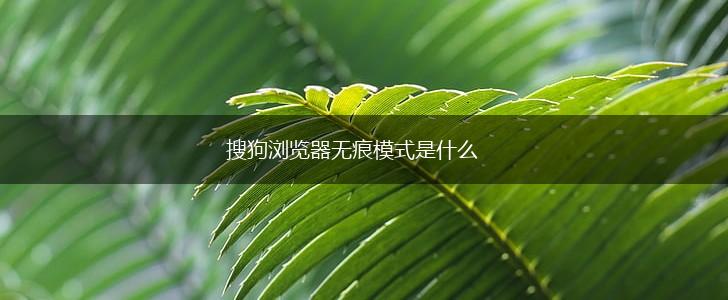 搜狗浏览器无痕模式是什么,第1张