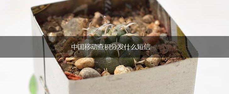 中国移动查积分发什么短信,第1张