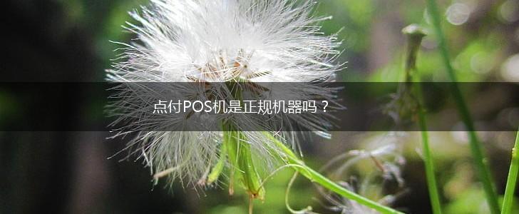 点付POS机是正规机器吗？,第1张