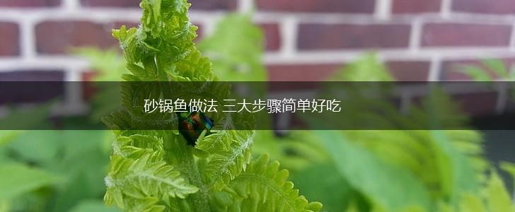 砂锅鱼做法 三大步骤简单好吃,第1张