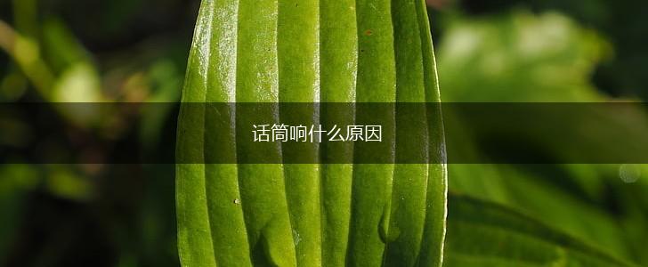 话筒响什么原因,第1张