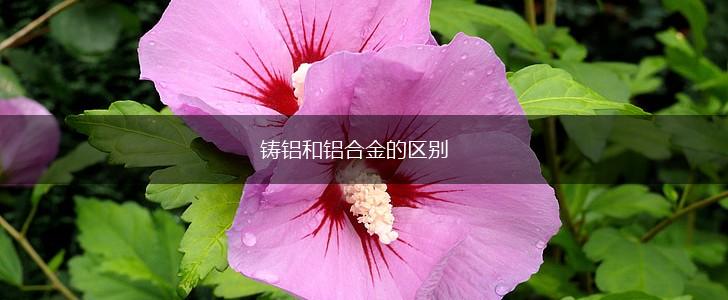 铸铝和铝合金的区别,第1张