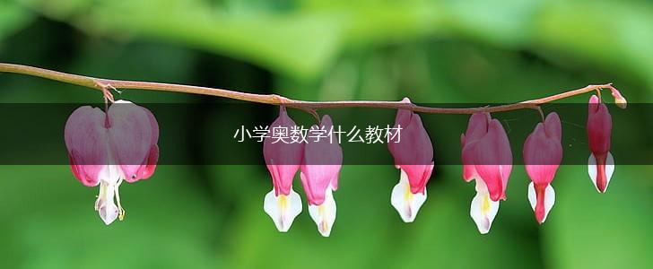 小学奥数学什么教材,第1张