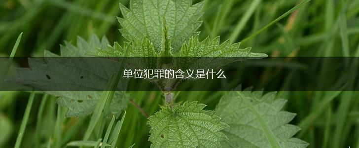 单位犯罪的含义是什么,第1张