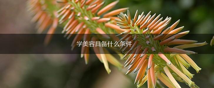 学美容具备什么条件,第1张