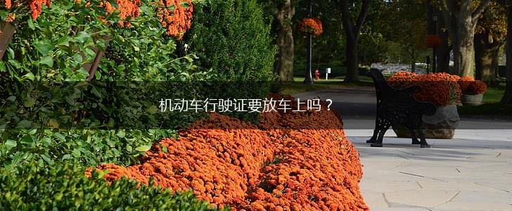 机动车行驶证要放车上吗？,第1张