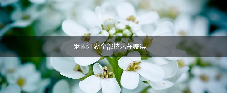 烟雨江湖全部技艺在哪得,第1张