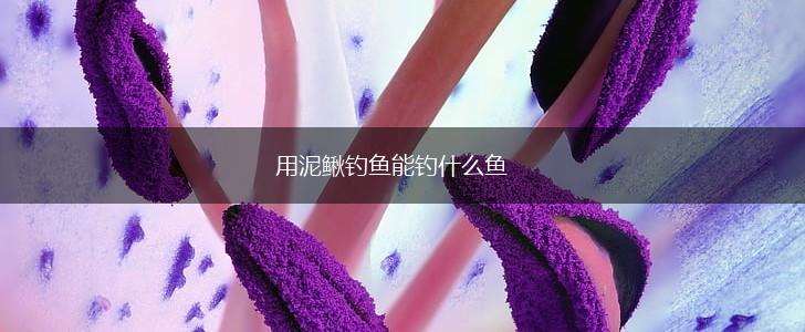 用泥鳅钓鱼能钓什么鱼,第1张