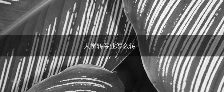 大学转专业怎么转,第1张