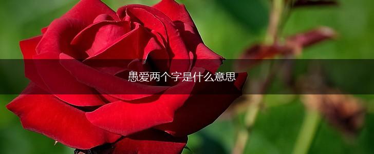 愚爱两个字是什么意思,第1张