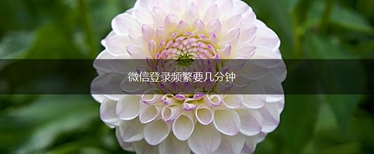微信登录频繁要几分钟,第1张