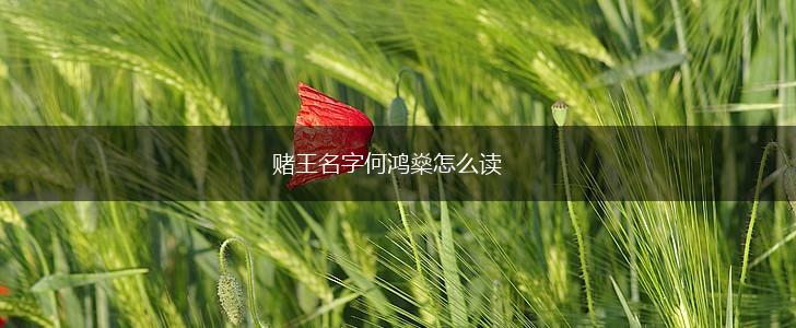 赌王名字何鸿燊怎么读,第1张