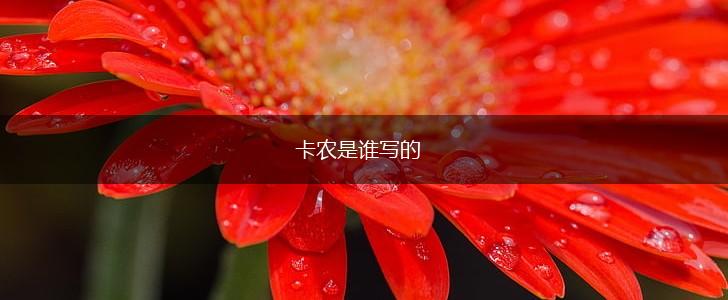 卡农是谁写的,第1张