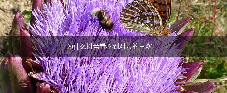 为什么抖音看不到对方的喜欢,第1张