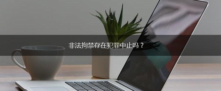 非法拘禁存在犯罪中止吗？,第1张