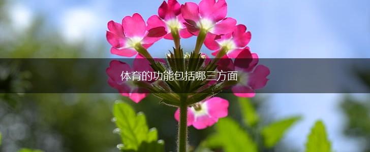 体育的功能包括哪三方面,第1张