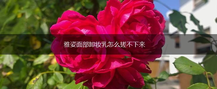 雅姿面部卸妆乳怎么搓不下来,第1张