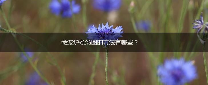 微波炉煮汤圆的方法有哪些？,第1张