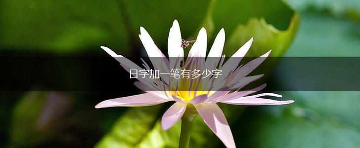 日字加一笔有多少字,第1张