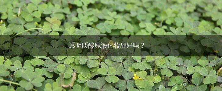 透明质酸原液化妆品好吗？,第1张