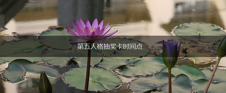 第五人格抽奖卡时间点,第1张