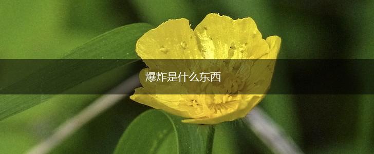 爆炸是什么东西,第1张
