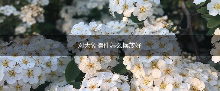 一对大象摆件怎么摆放好,第1张