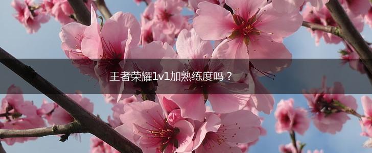 王者荣耀1v1加熟练度吗？,第1张