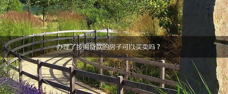 办理了按揭贷款的房子可以买卖吗？,第1张