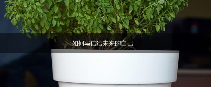 如何写信给未来的自己,第1张